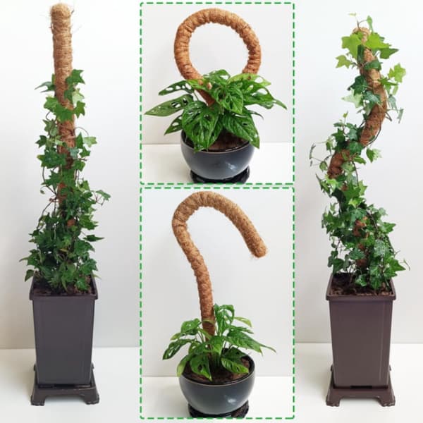 Bøjelig mosstang, klatrestøtte til planter, støttepæle til monstera-palmer, tilbehør til potteplanter til haven 1pcs Extendable 30cm