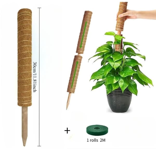 Bøjelig mosstang, klatrestøtte til planter, støttepæle til monstera-palmer, tilbehør til potteplanter til haven 1pcs Bendable 80cm