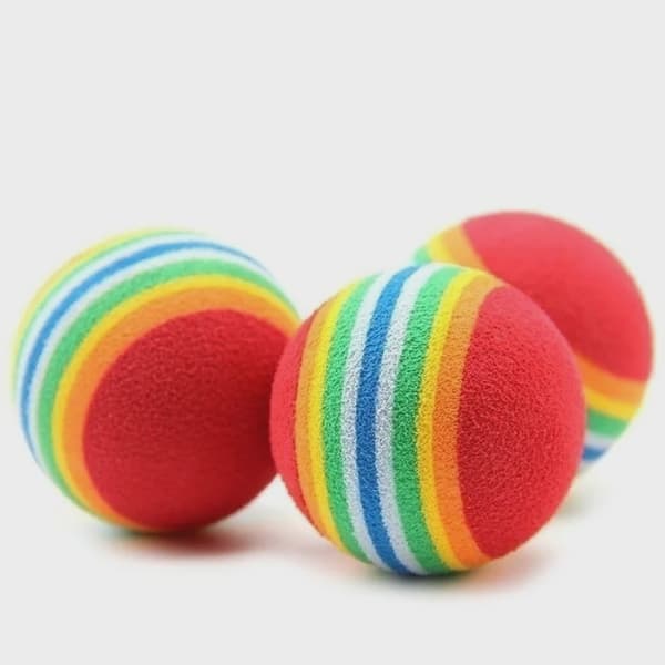 10 stk. kæledyrslegetøj Rainbow -10pcs