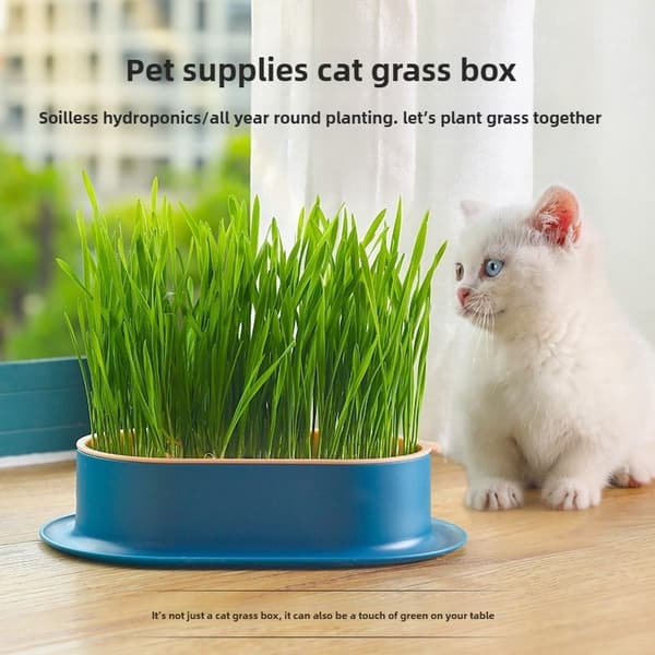 Husdjurstillbehör Kattsnacks Kattplanteringslåda Hydroponisk låda för kattgräs Hydroponisk låda för kattgräs Pink