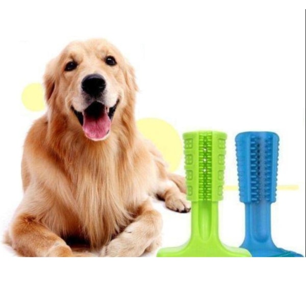 Doggystick - den smarte tandbørste til hunde - Grøn Blue