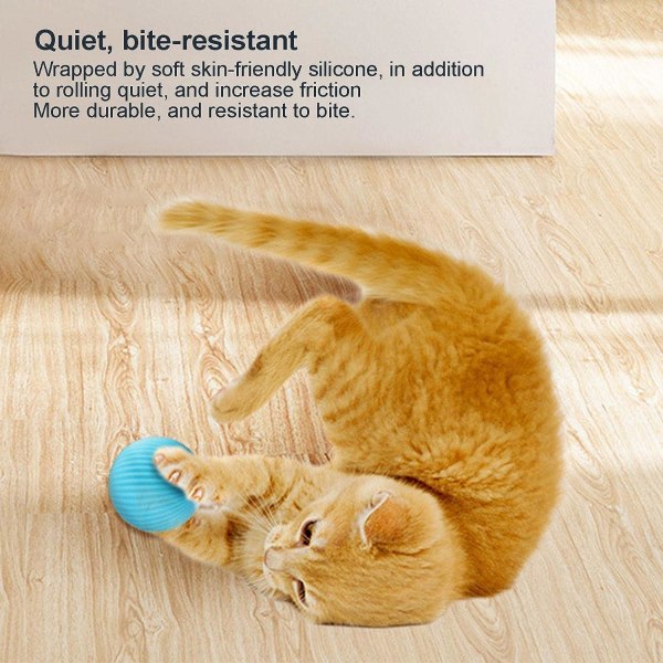 Aktiveringsbold Kattelegetøj-Legetøj til katte Bold Blue