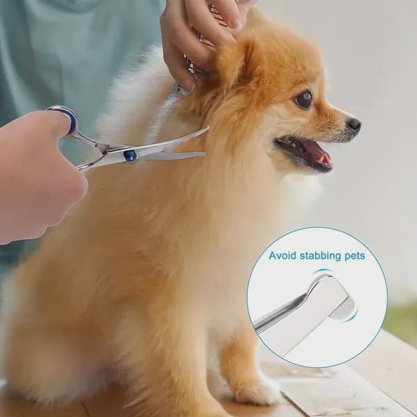 Ambidextrous kæledyrssikker saks i rustfrit stål til hunde med rundt hoved til præcisionstrimning Flat Scissors