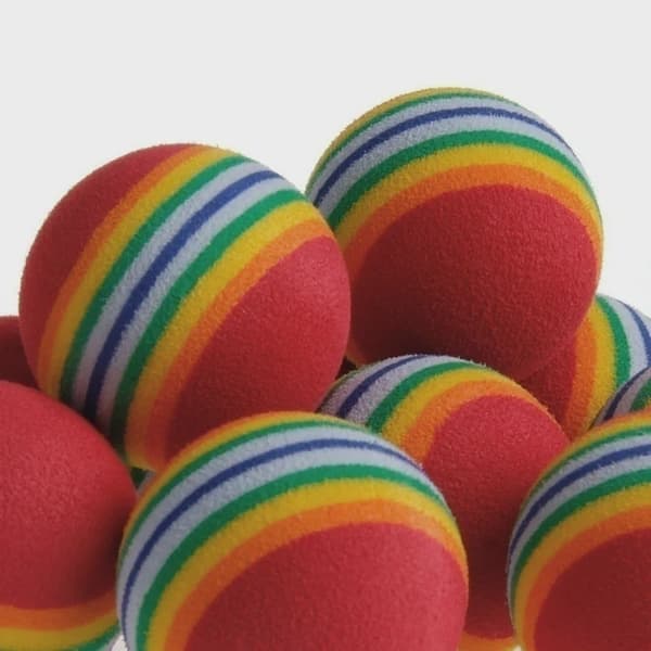 10 stk. kæledyrslegetøj Rainbow -10pcs