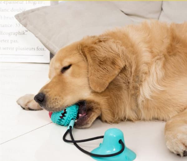 Multifunctional dog cat safe elastic cleaning teeth ball Pink Pink and Blue Boll Model