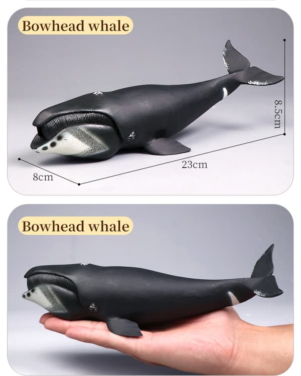 Realistisk stor val actionfigur - havsdjursmodellleksak för samling, dekoration och presenter Whale-9