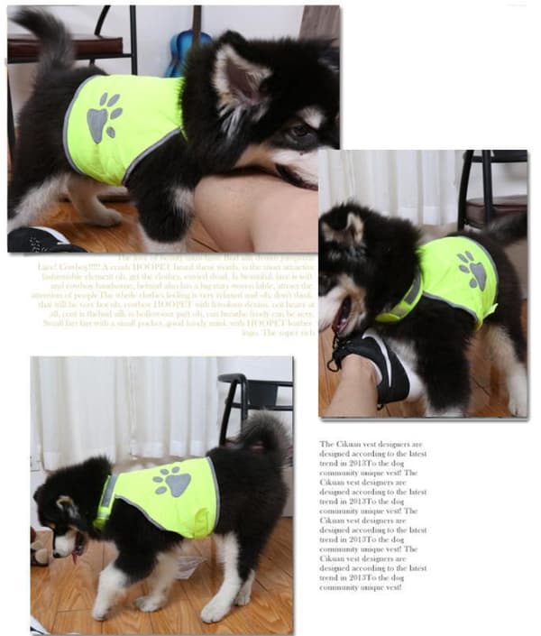 HUND REFLEXVÄST Feel Active Reflective Storlek S,M,L Storlek S