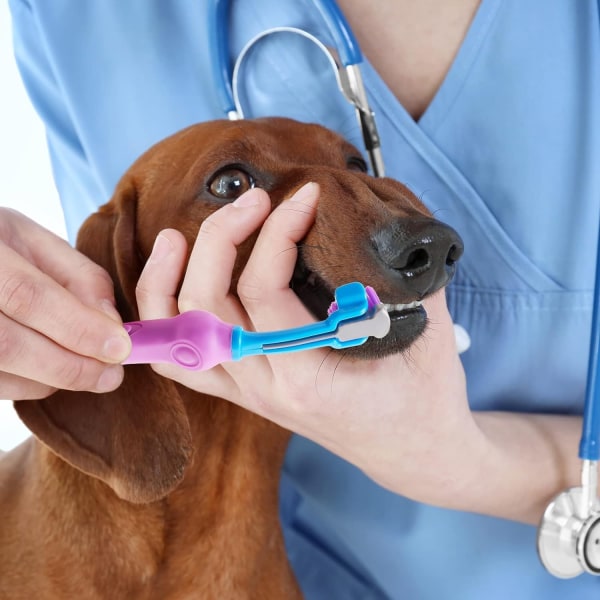 Tresidig sällskapstandborste för hundborste för att rengöra munn Rosa
