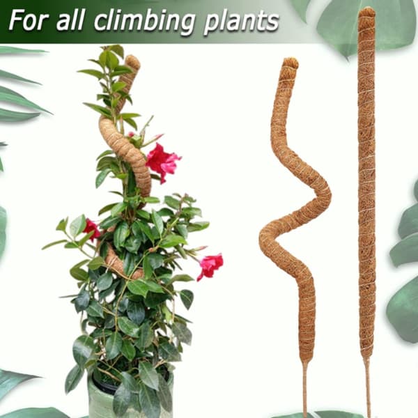 Bøjelig mosstang, klatrestøtte til planter, støttepæle til monstera-palmer, tilbehør til potteplanter til haven 1pcs Extendable 30cm