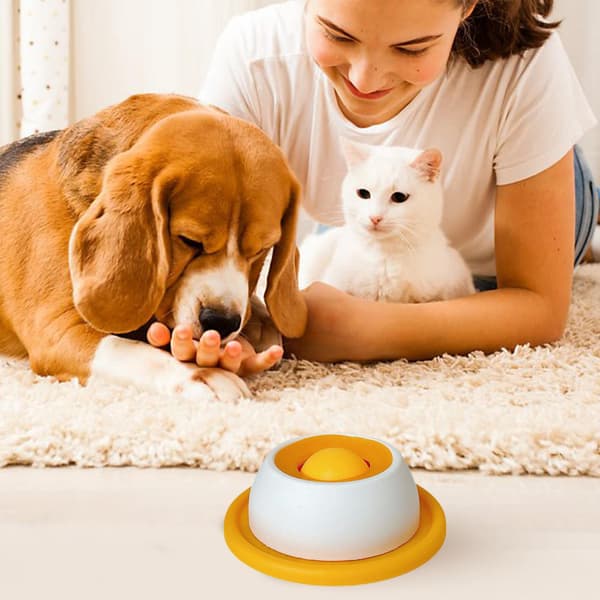 Tillbehör för husdjursmatning, hundgodisleksak, pusselleksaker för uttråkade valpar, långsam matning, valptillbehör för hälsosam kost, matlåda E