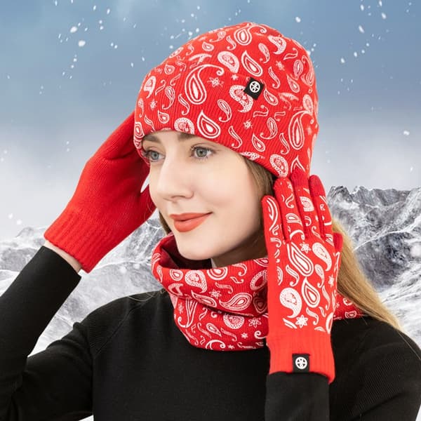 Unisex paisleytryck vinterhatt, snodd & handskar set - tjock plyschfoder mössa och halsduk för män och kvinnor pink