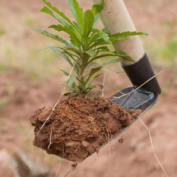 Slitstark trädgårdshacka Hushållsredskap Utomhusbruk Smide Ogräsrensningshacka för grävning Jord Plantering Grönsaker Blommor Style 1