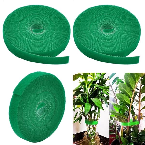 1/2 st 2 m växtband nylon växtband hem trädgård växtformad tejp krokögla bambu käppband stödtillbehör White-Blue