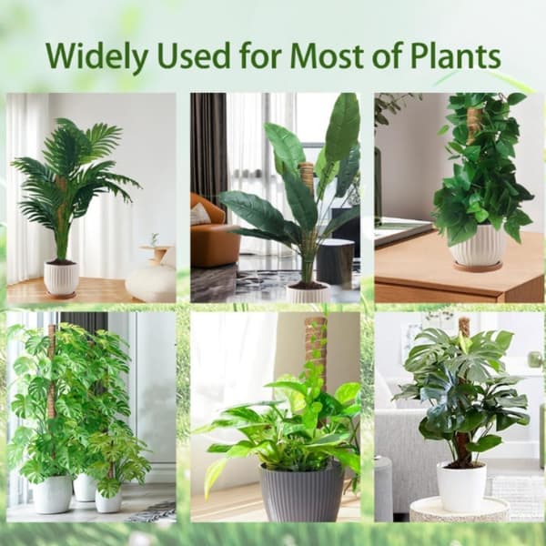 Bøjelig mosstang, klatrestøtte til planter, støttepæle til monstera-palmer, tilbehør til potteplanter til haven 1pcs Bendable 100cm