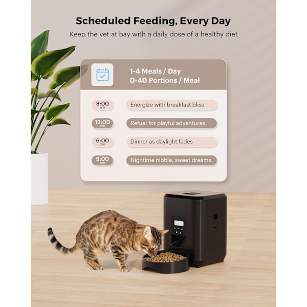 Smart foderautomat til kæledyr, automatisk foderautomat til katte, langsom fodermaskine til hunde med tidsindstillet kvantitativ automatisk foderdispe Black Button Feeder