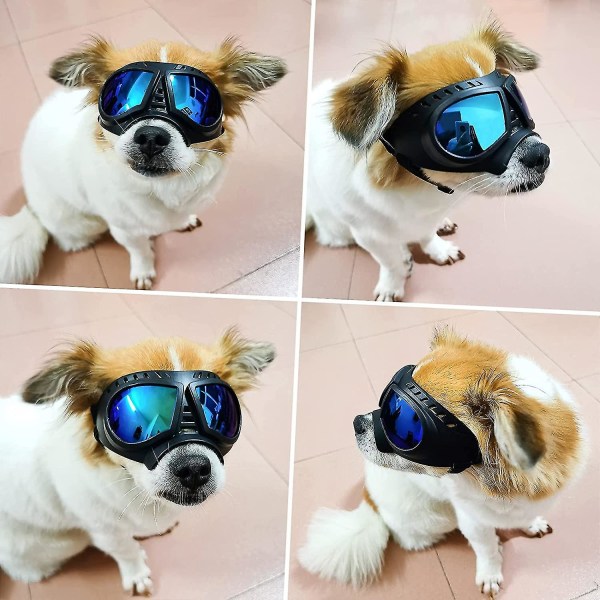 Hundglasögon Ögonskydd Hundsolglasögon Anti-uv-glasögon Vindtäta valpglasögon med justerbar