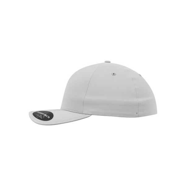 Caps - Flexfit - Delta - Sølv - Unisex - Forår/Sommer pengar L/XL