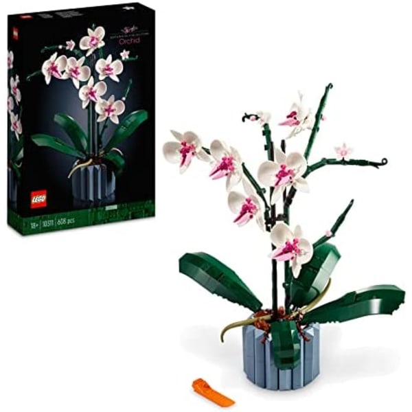 Orkidérumsdekoration, kreativa leksaker, presentidé