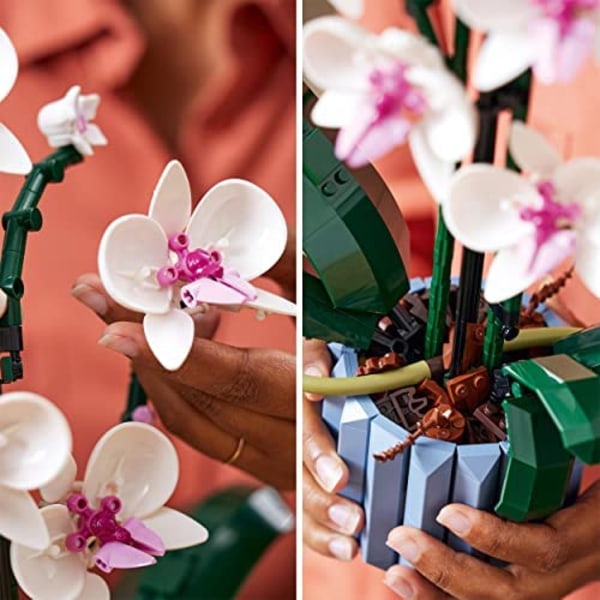 Orkideahuoneen sisustus, luovat lelut, lahjaidea
