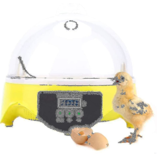 Automatisk äggkläckningsmaskin för 7 ägg med automatisk vändning från Guanzai