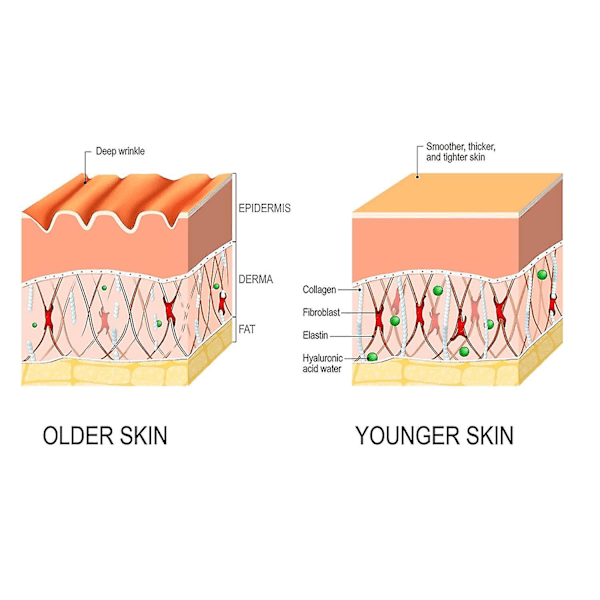 Reskin Advanced Deep Anti-rynkle Serum, Antiaging Collagen Dark Spot Corrector, hudvård Moisturizing Repair Serum Tw 2pcs