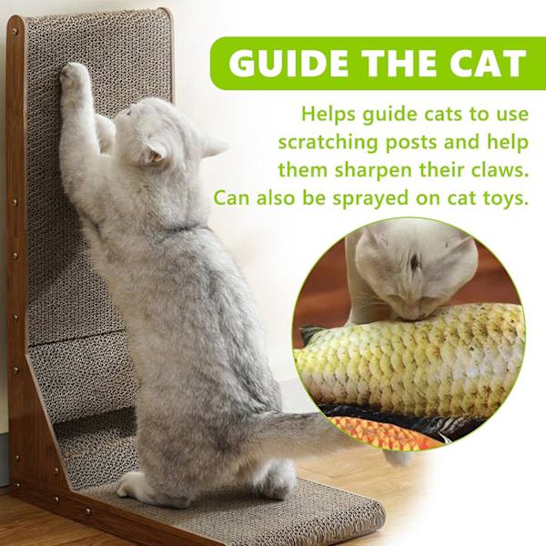Herbal Cat Joy, Herbal Cat Joy Spray, Selleri Husdjur Kattmynta Spray, Selleri Husdjur Herbal Cat Joy, Kitty Joy Spray, Kattmynta Spray For Cats 3Pcs