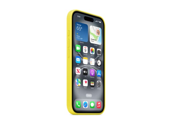 Apple Skal Stjernefrugt Apple iPhone 16