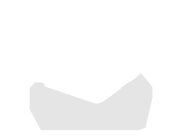 HP LaserJet Pro 3002dw Laser
