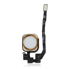 Hemknapp med flexkabel för iPhone 5S / SE (2016) (Guld) guld