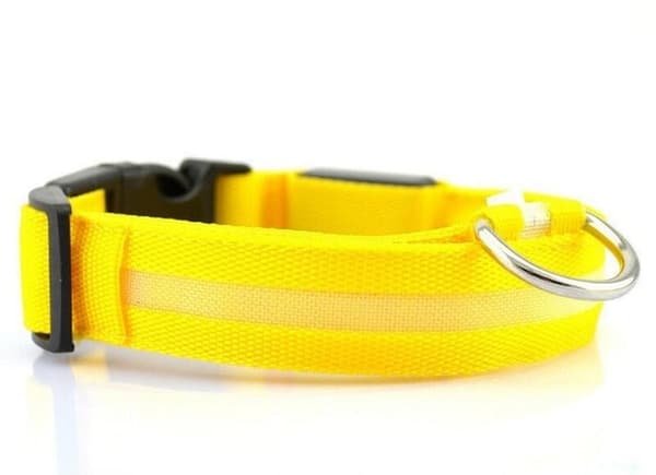 LED-halsband, reflekterande i nylon|rosa