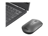 Lenovo ThinkPad Silent Blå optisk trådlös Grå