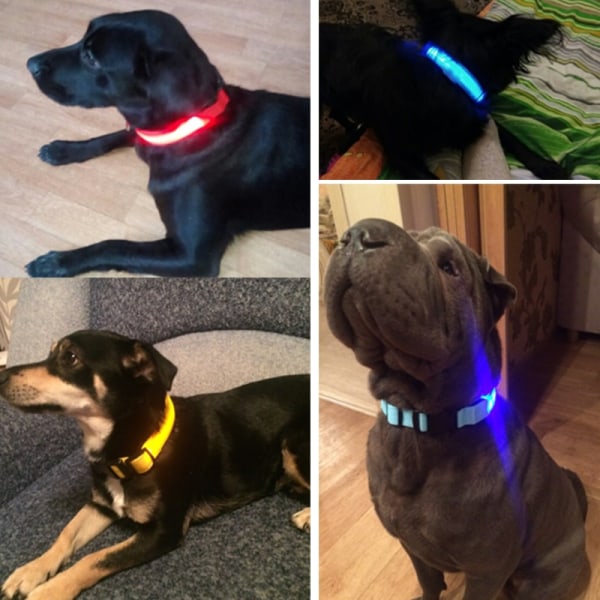 LED-halsband, reflekterande i nylon|röd