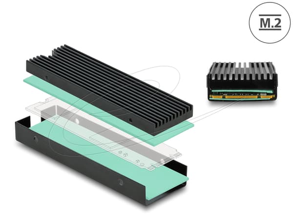 DeLOCK Heatsink flat 100 mm för M.2 module black Kölelegeme till solid state-disk