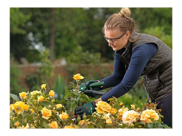 Bosch EasyPrune Secateur Elektrisk