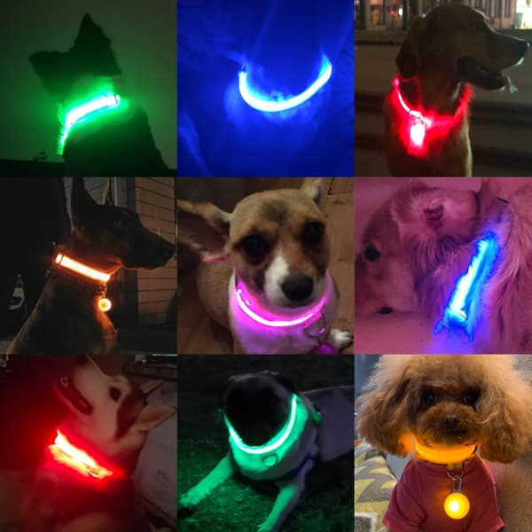Hund led-säkerhetshalskrag grön