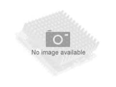 AMD CPU Ryzen 5 8600G 4.3GHz 6-core AM5