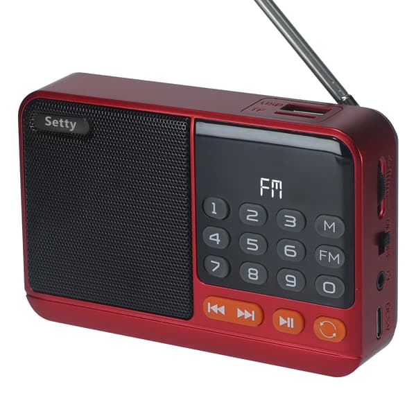Setty mini FM-radio + Bluetooth-högtalare SFM-01M