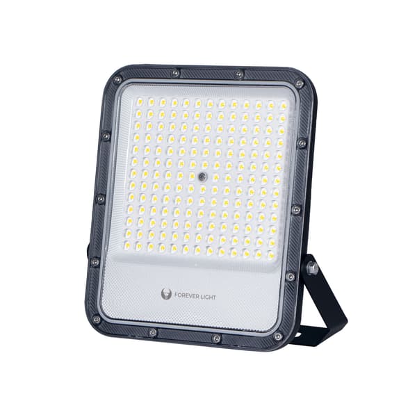 LED Floodlight PROXIM+ 100W - Forever Light, 6500K, IP65, High-Efficiency