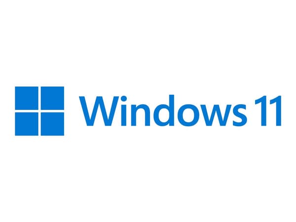 Windows 11 Home - ESD