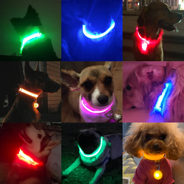 hundhalsband med LED-blixt ljusblå
