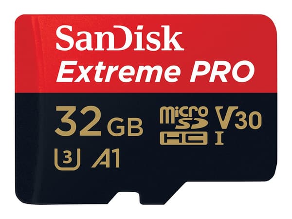 SanDisk High Endurance microSDHC 32GB 100MB/s