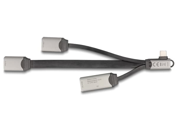 DeLock 4-porte USB Hub