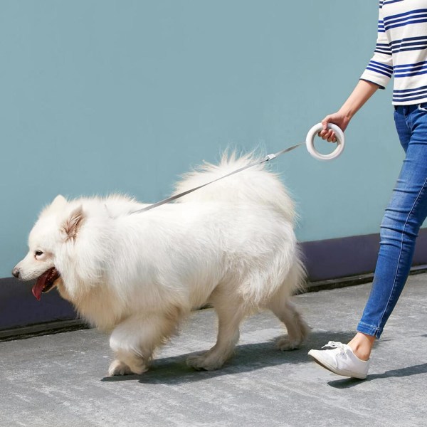 Xiaomi MOESTAR UFO 2,6 m utdragbar husdjurbälte White