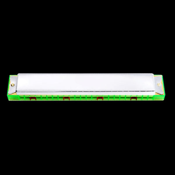 Harmonika for C-dur 24 hull med aksenter C med etui for profesjonelle spillere C