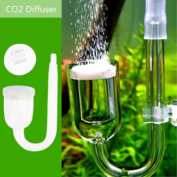 CO2 Diffuser Klar Glasforstøver til Akvarie Plantet til Tank Tiny Bu