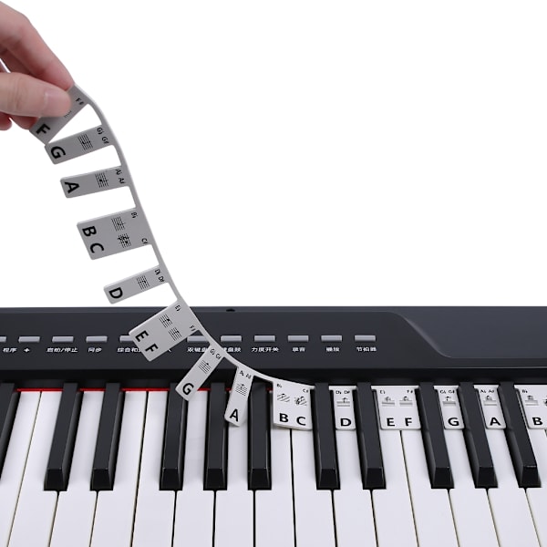 Pianon musiikkinäppäintarra, pianon nuottimerkintäpeitto nuottikirjoituksella Color 88 keys
