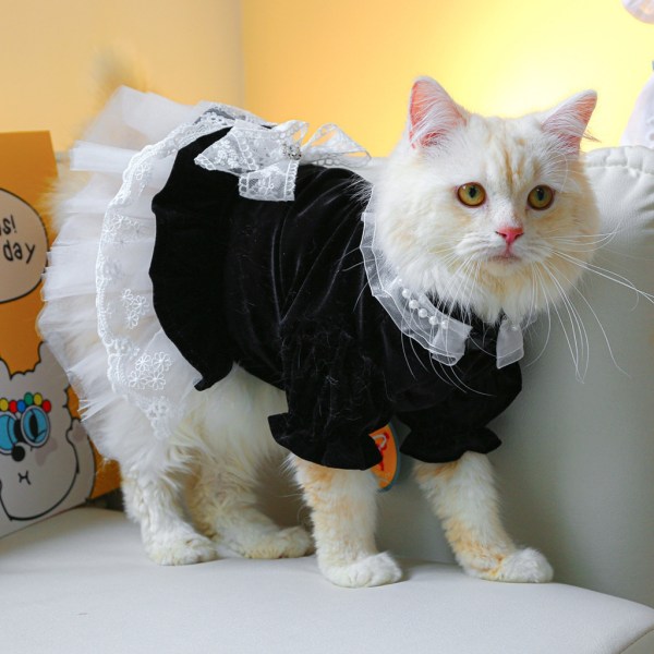 Hund Katt Klänning Kostym Husdjur Kläder Outfit Spetsdekorer Kläder för flickakatter L