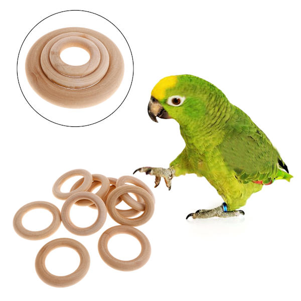 10-pack träringar för att måla träcirklar för hantverk DIY fågel papegojleksak 3*1.7cm