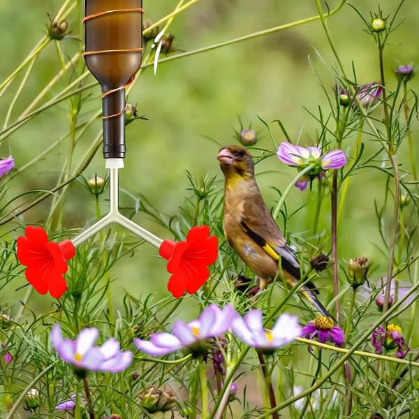 3 stk. Kolibri Vandingsanordning Blomsterfoder til Udendørs Have Fugleobservation