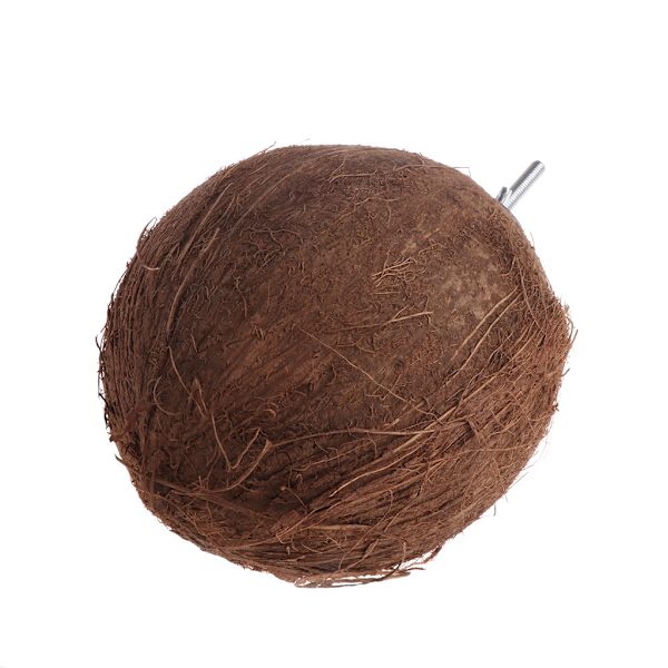 Coconut Bird Nest Hud för papegoja Parakit Conure Cockatiel Smådjurshus Husdjursbur Habitatdekor Enkel att installera